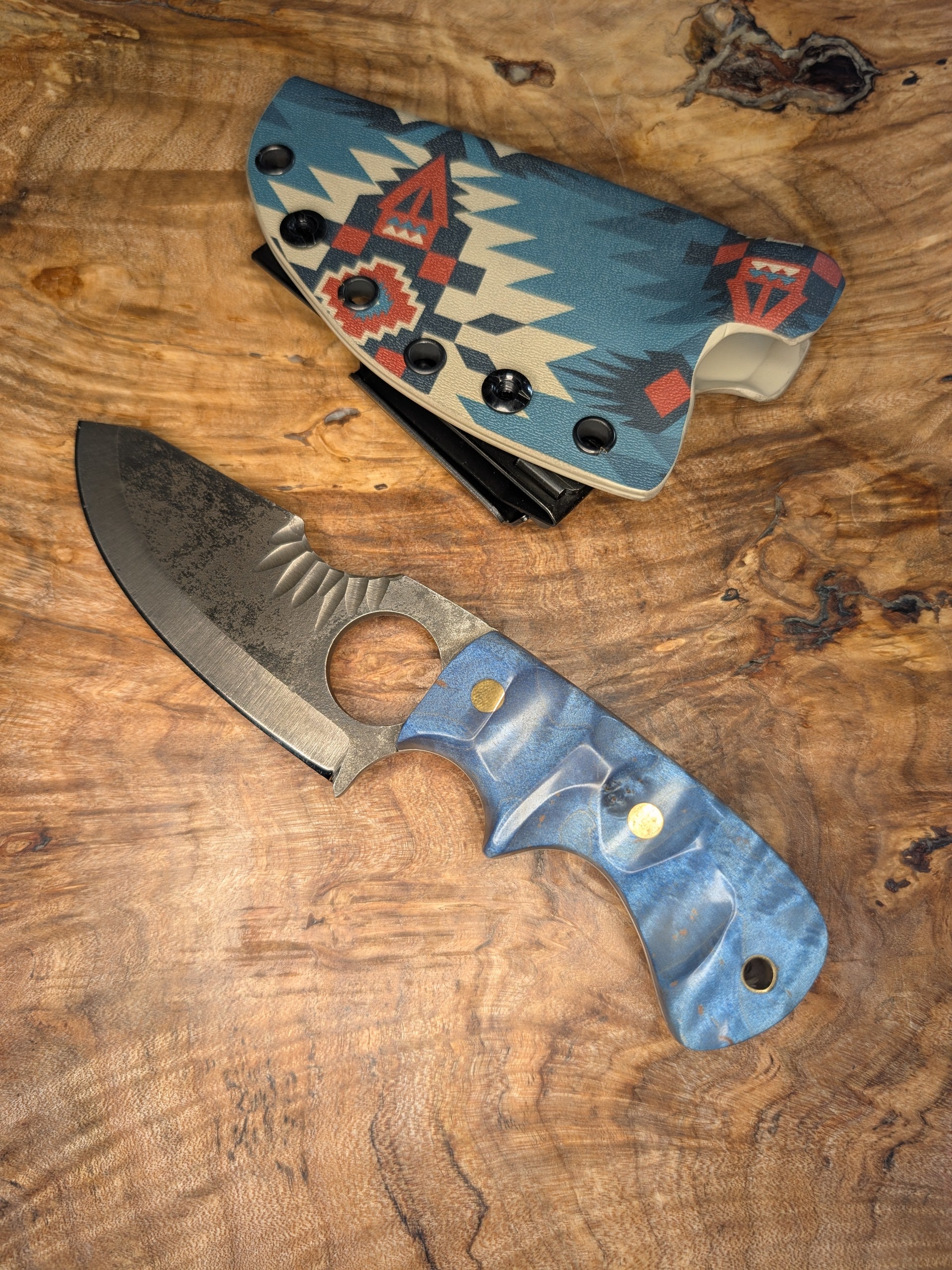 Blue Curly Maple Spud