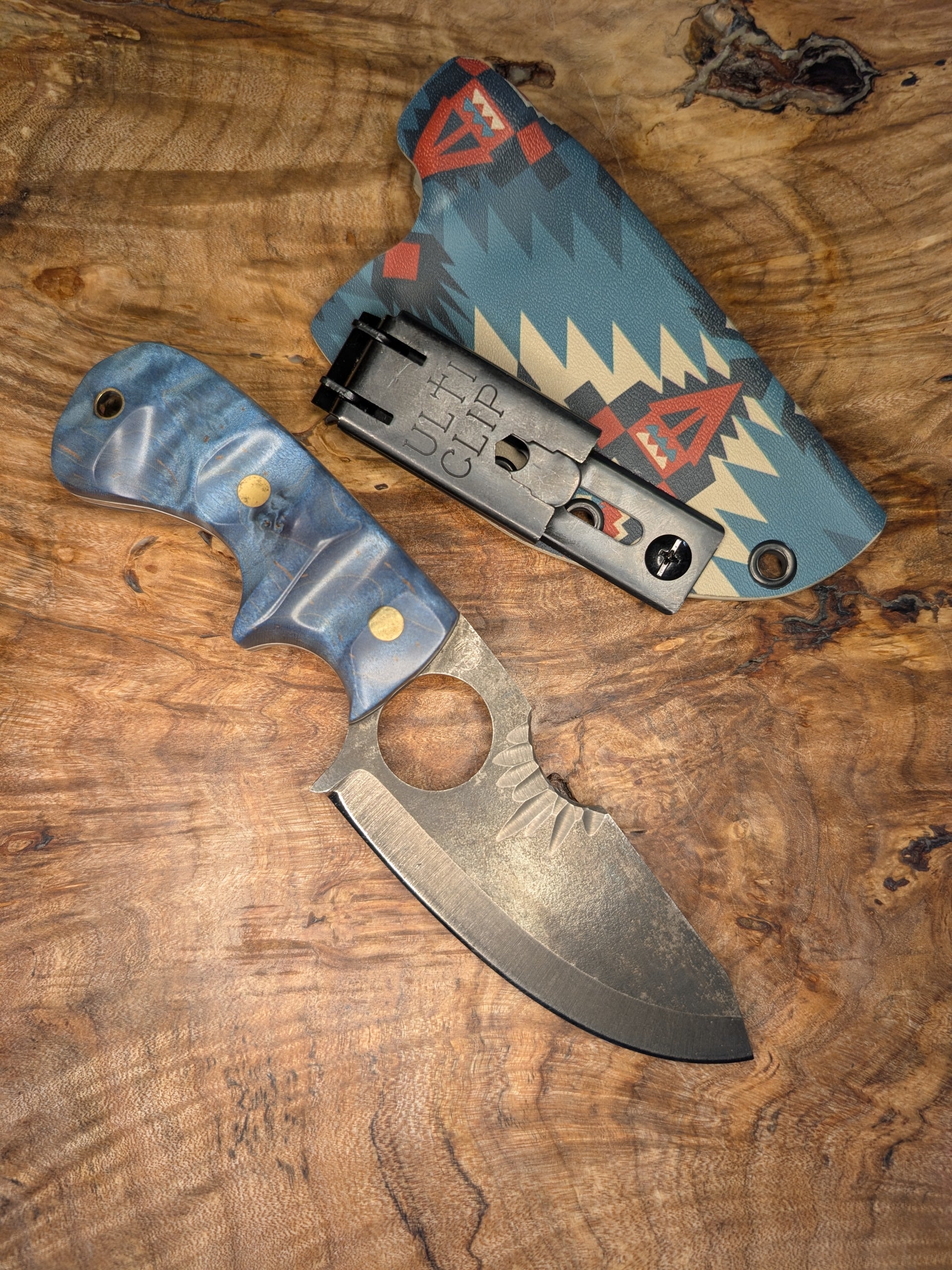 Blue Curly Maple Spud