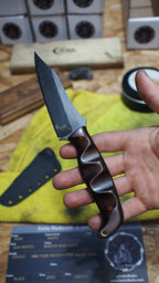 Padauk, Punk