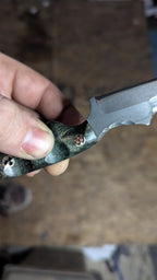 Green Maple Burl, Ringed Sliver
