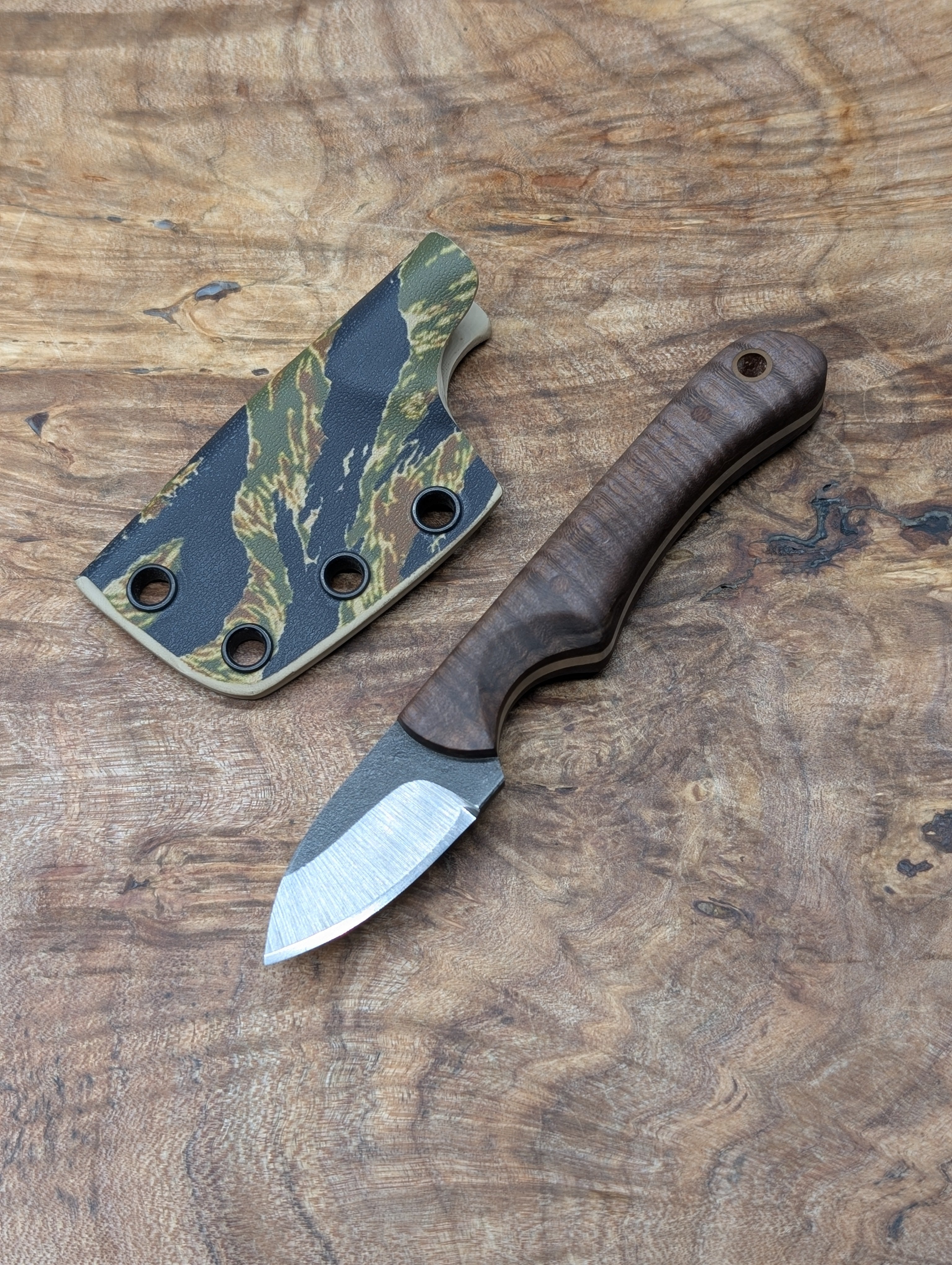 Curly Maple mini Clipper