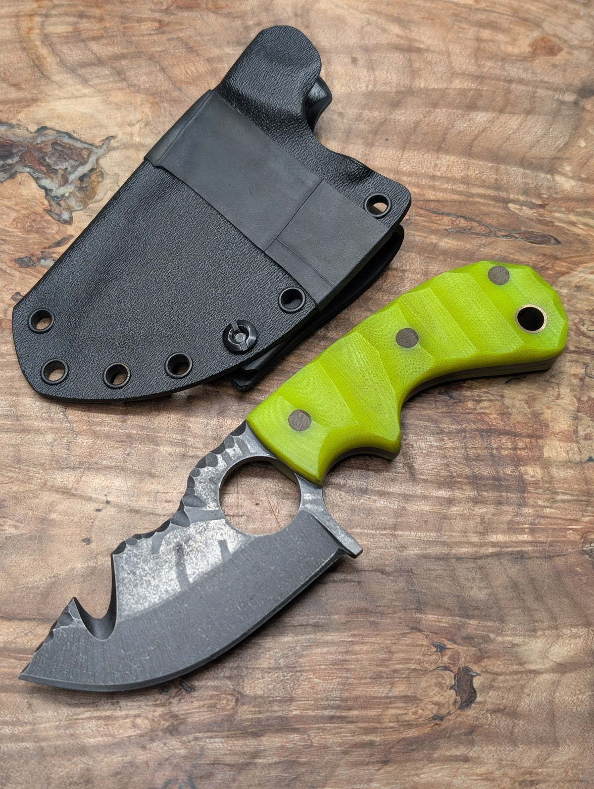 DayGlow Ringed Skinner
