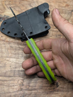DayGlow Ringed Skinner