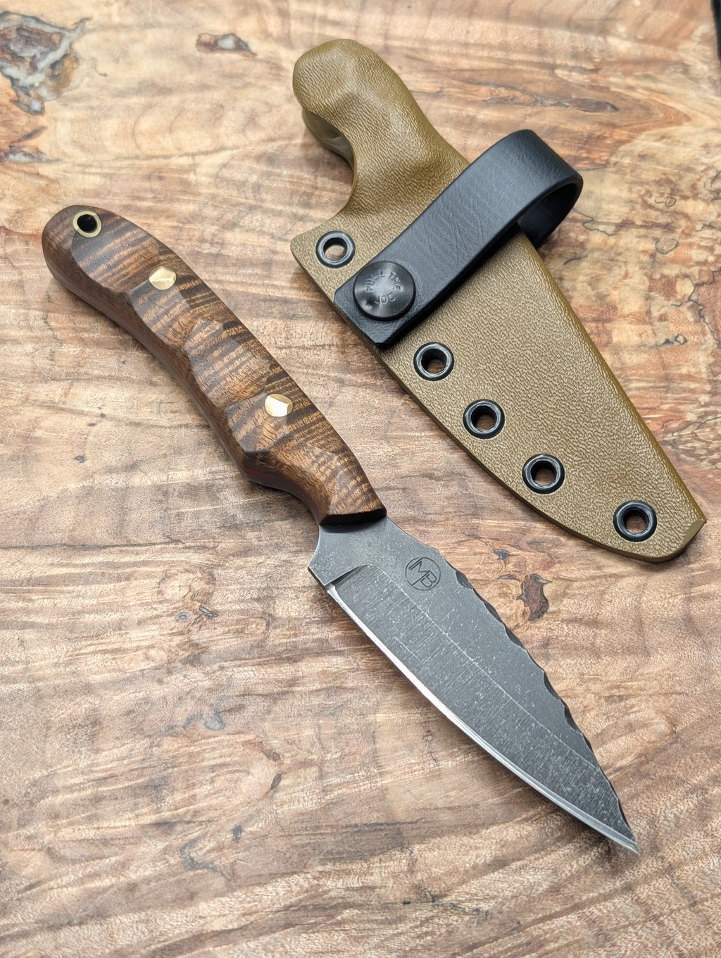 Curly Acacia Huntsman XL