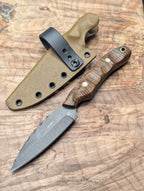 Curly Acacia Huntsman XL