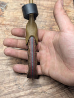 Curly Acacia Huntsman XL