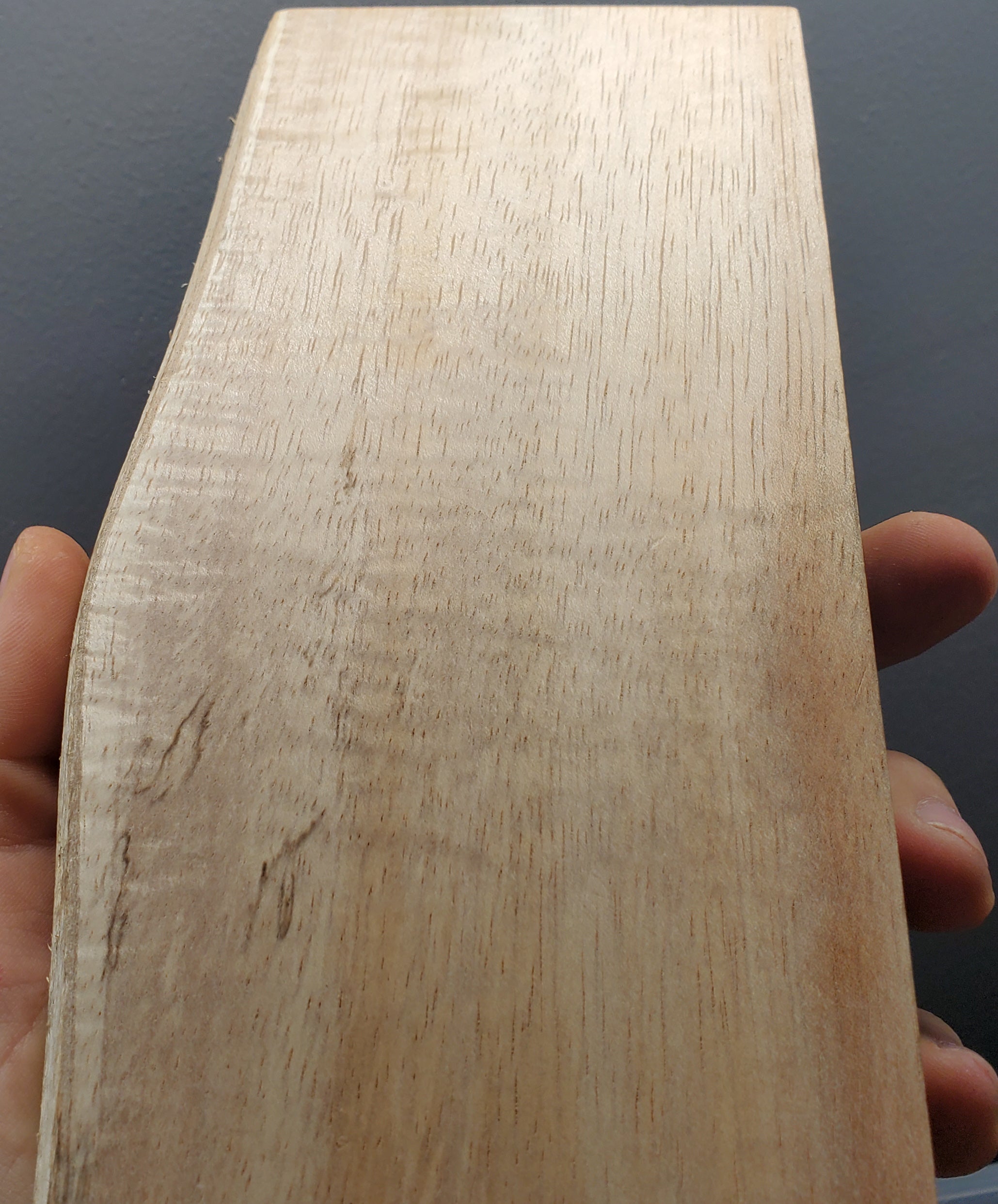 Hawiian Koa, Albino, light curl