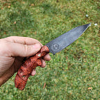 Maple Burl Venom