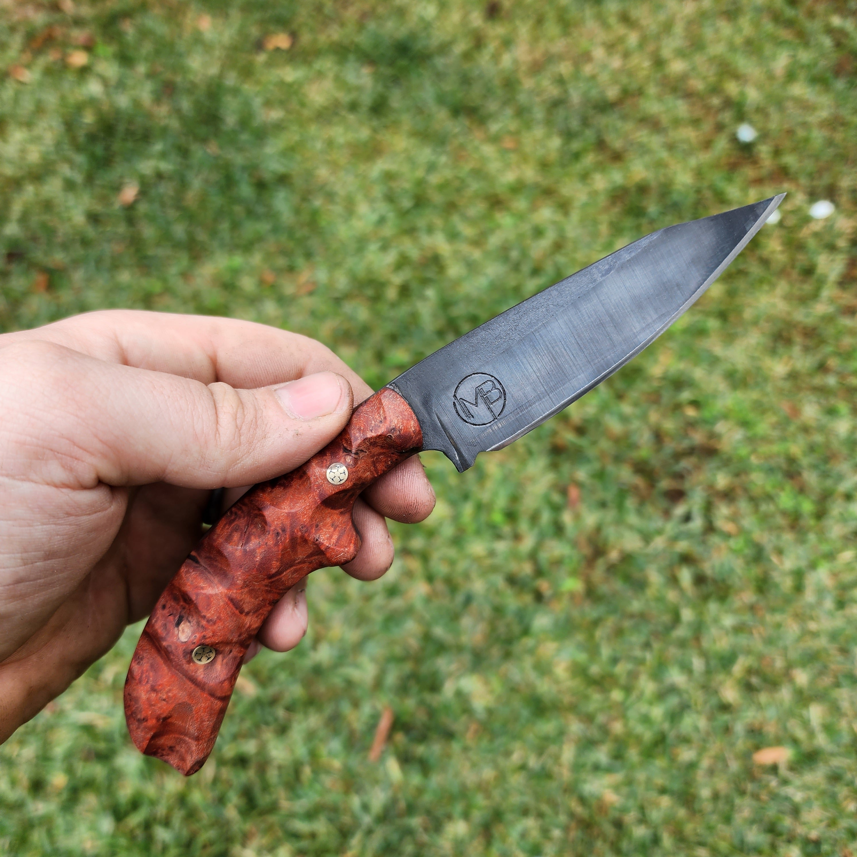 Maple Burl Venom