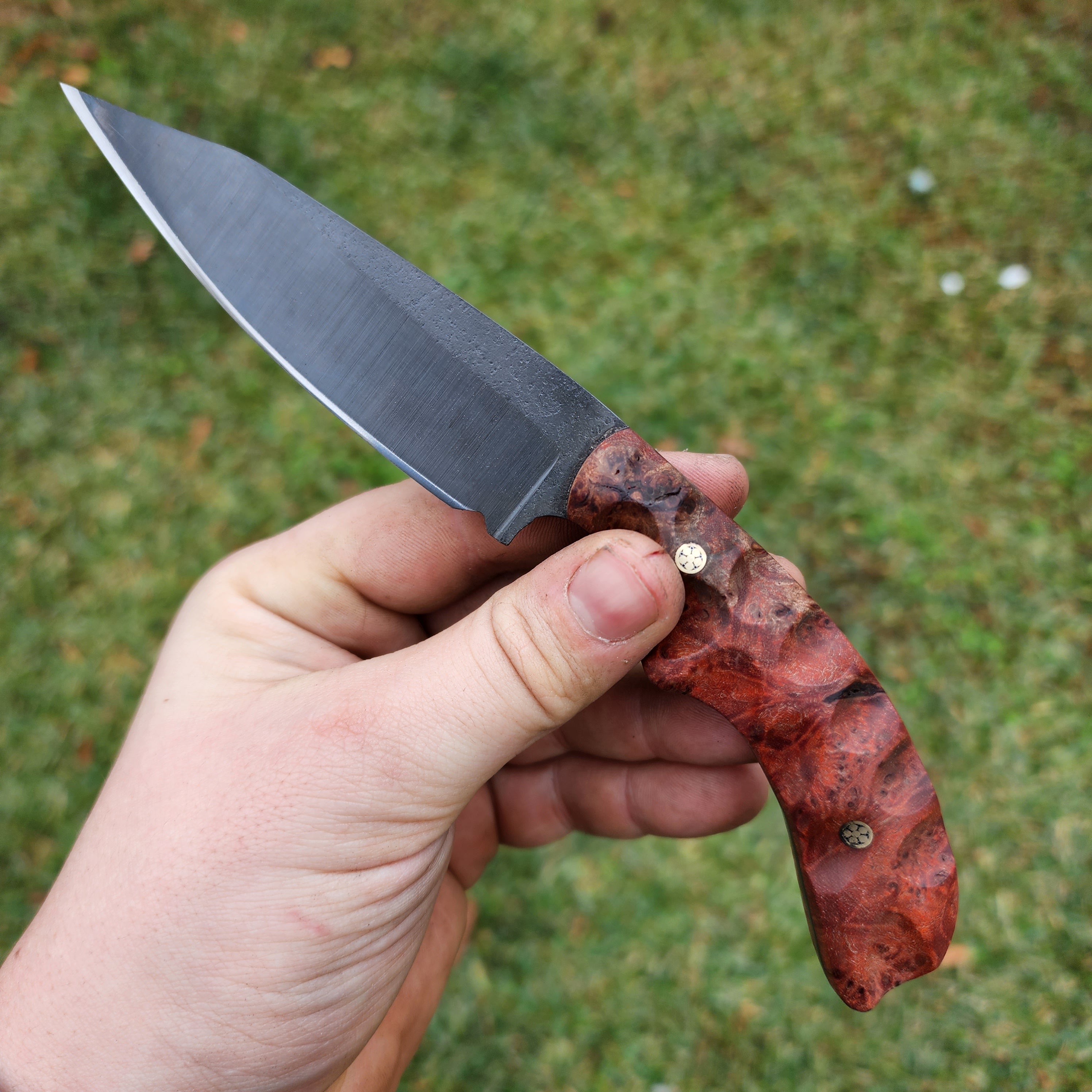 Maple Burl Venom