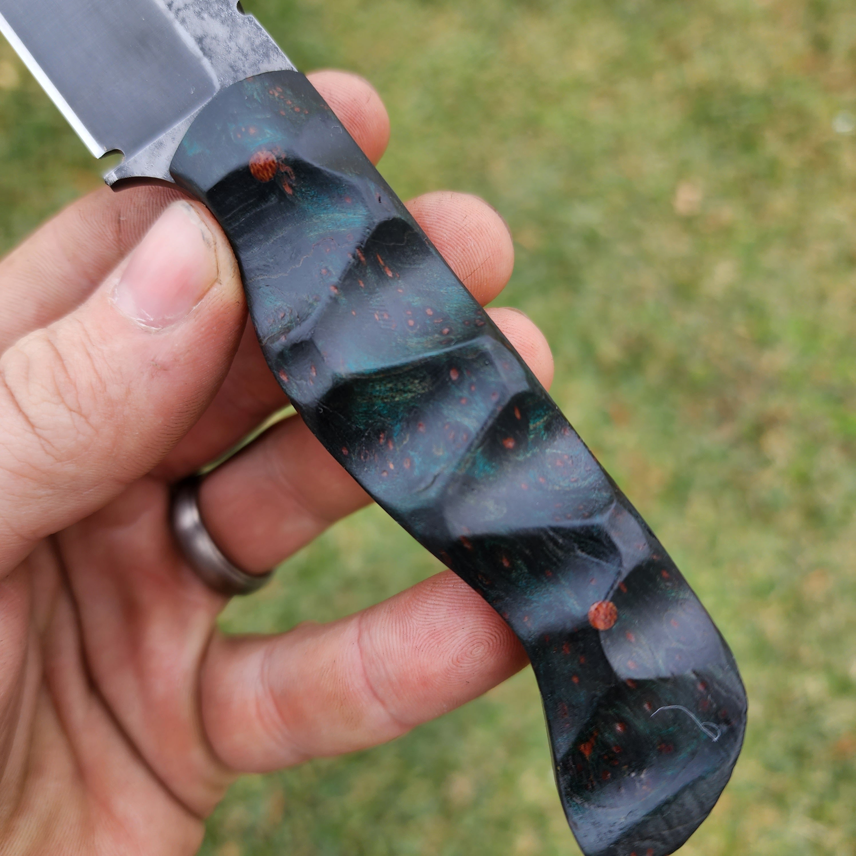 Redwood burl EDC Plus