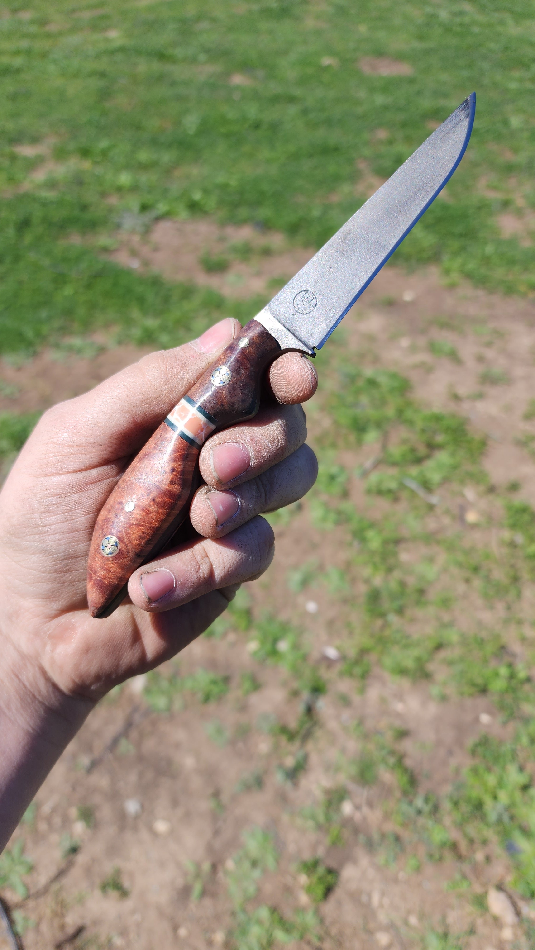 Burl Sliver