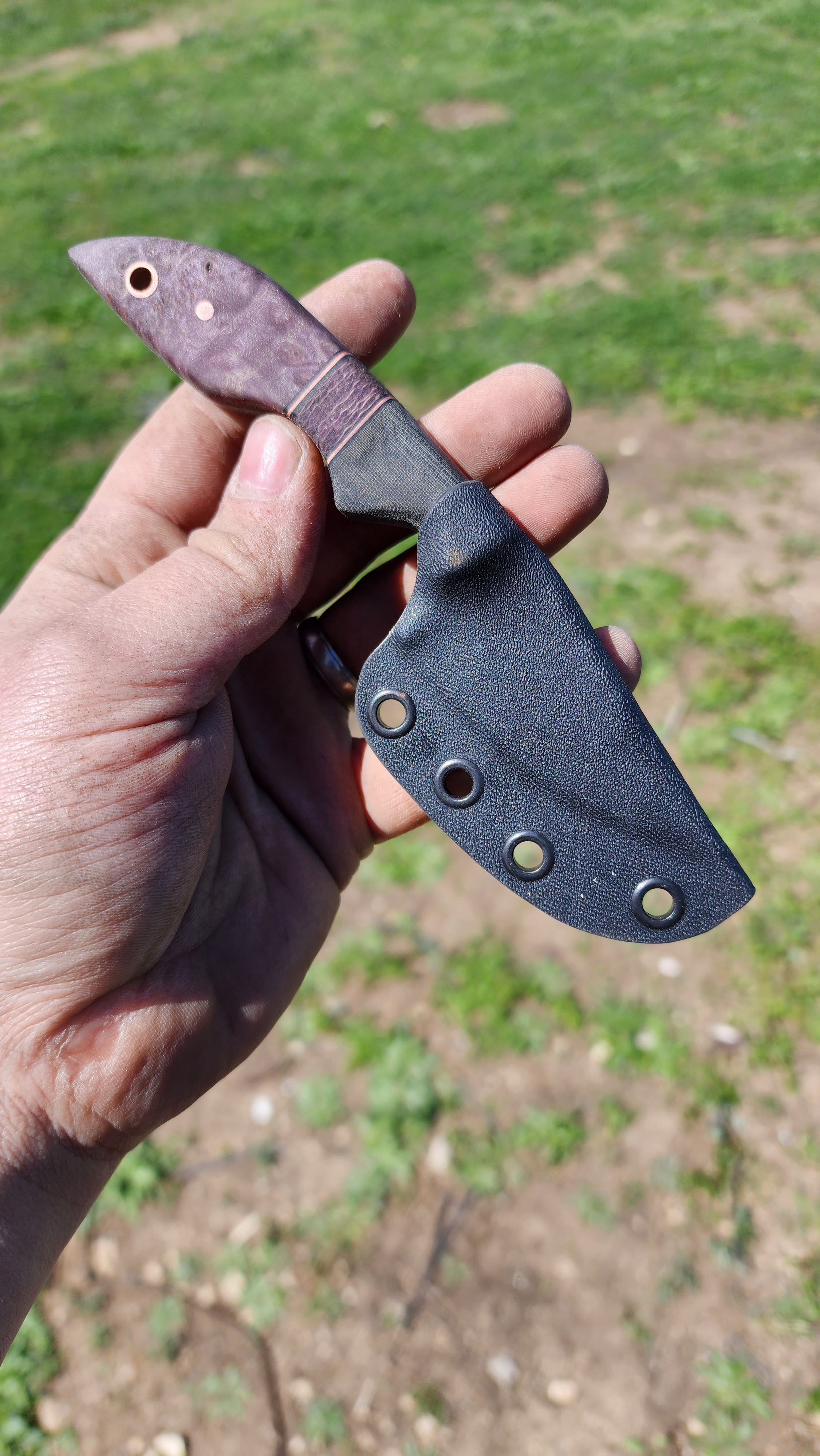Purple Maple Tonto