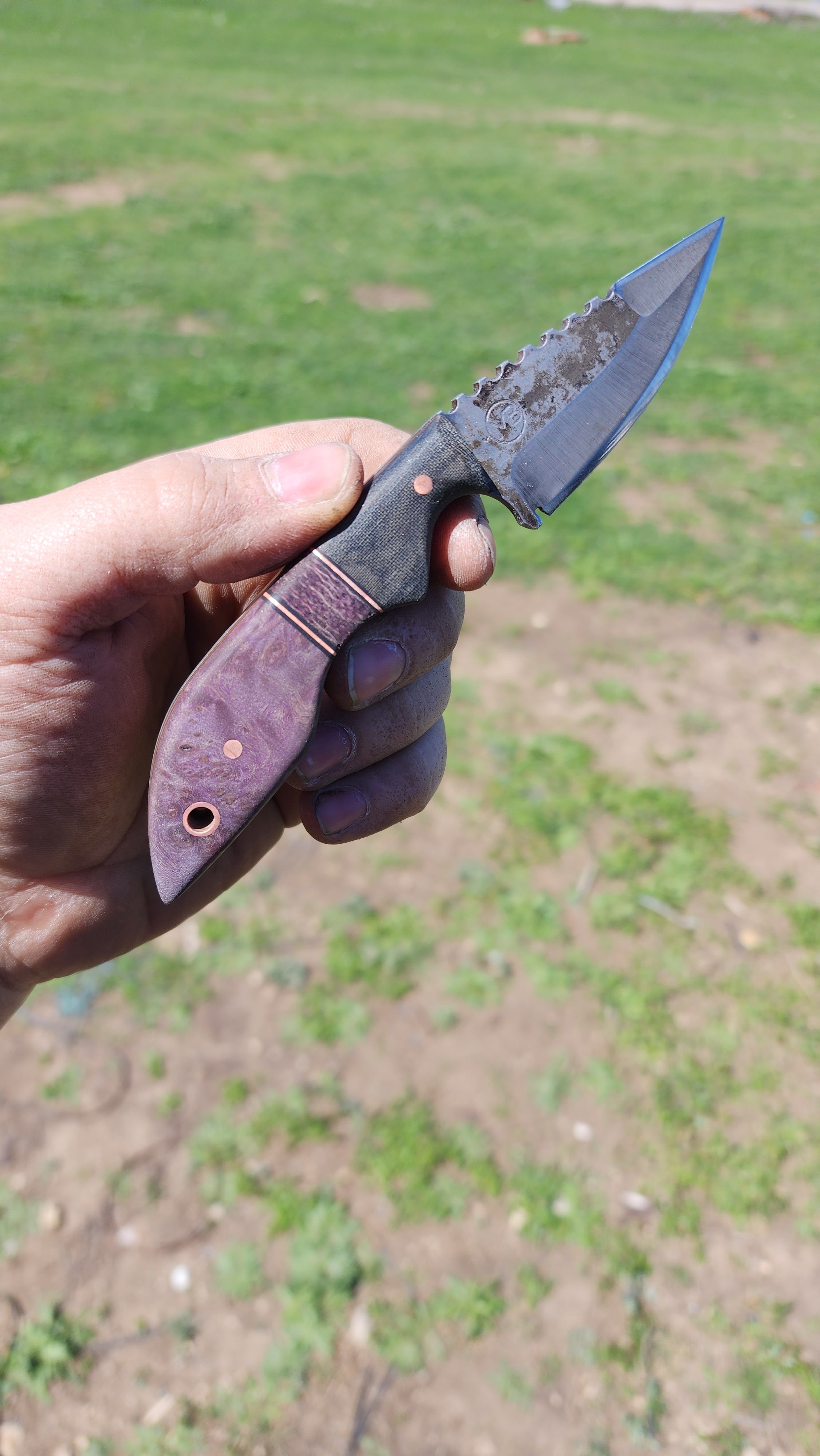 Purple Maple Tonto