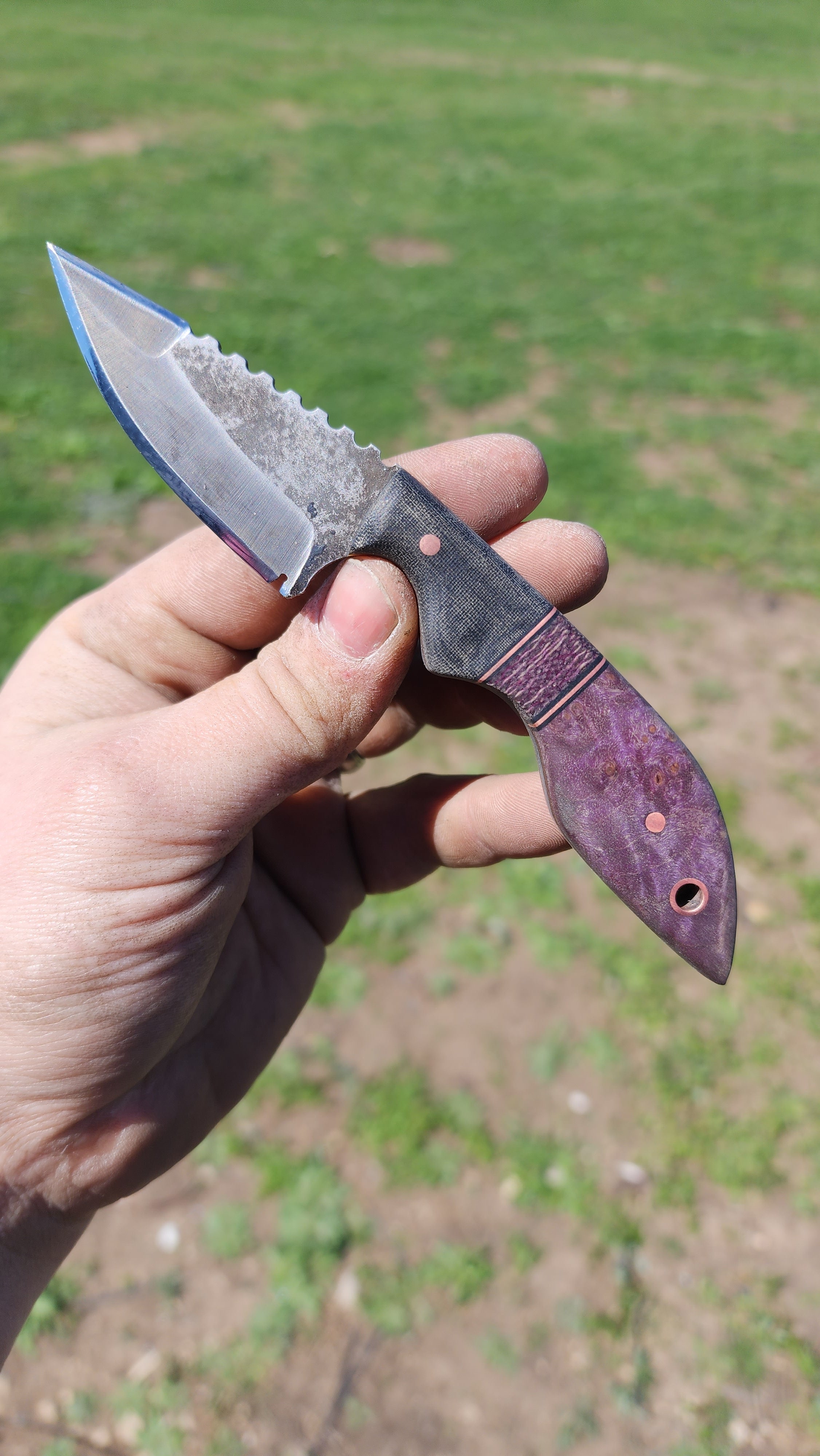 Purple Maple Tonto