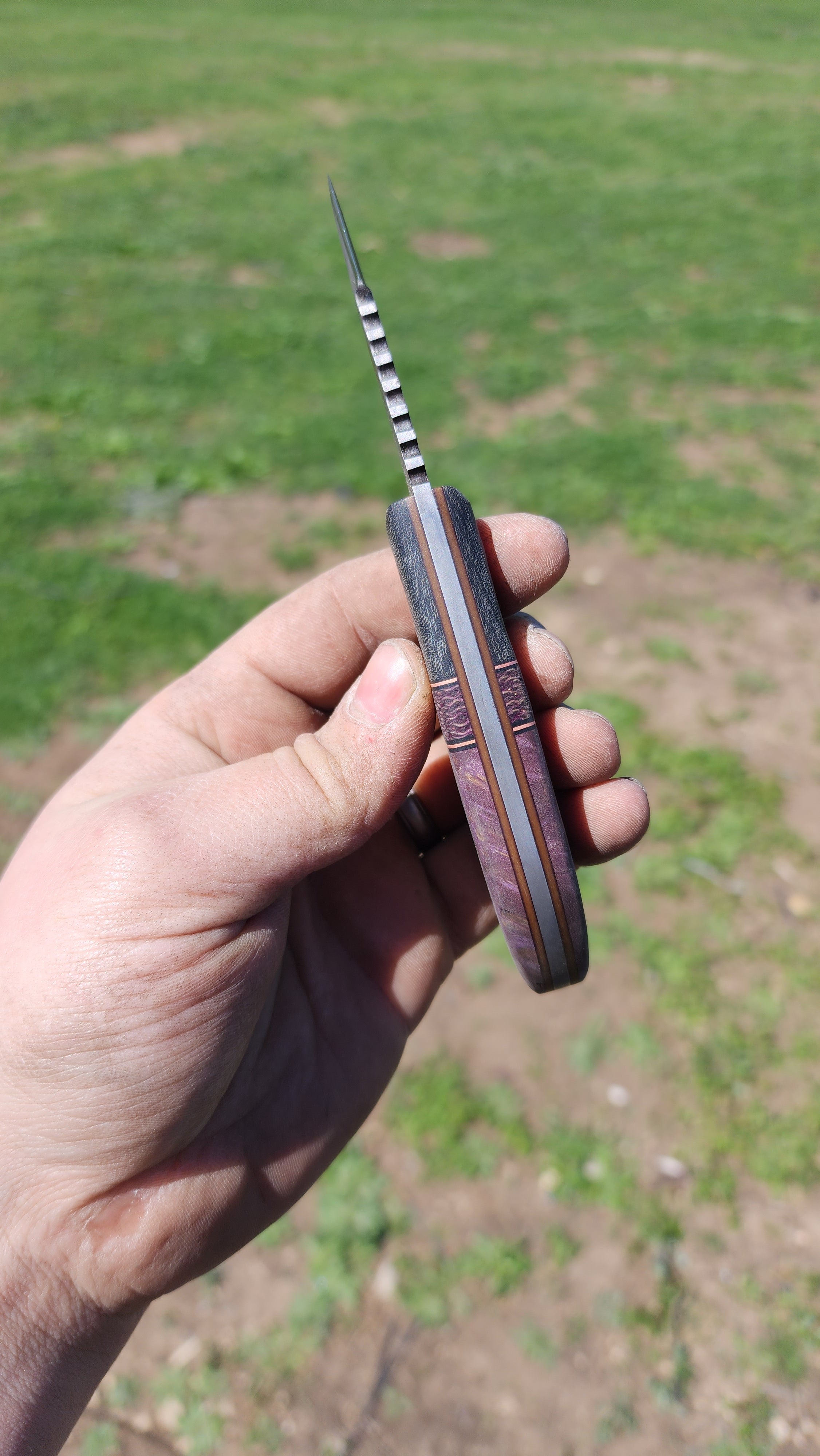 Purple Maple Tonto