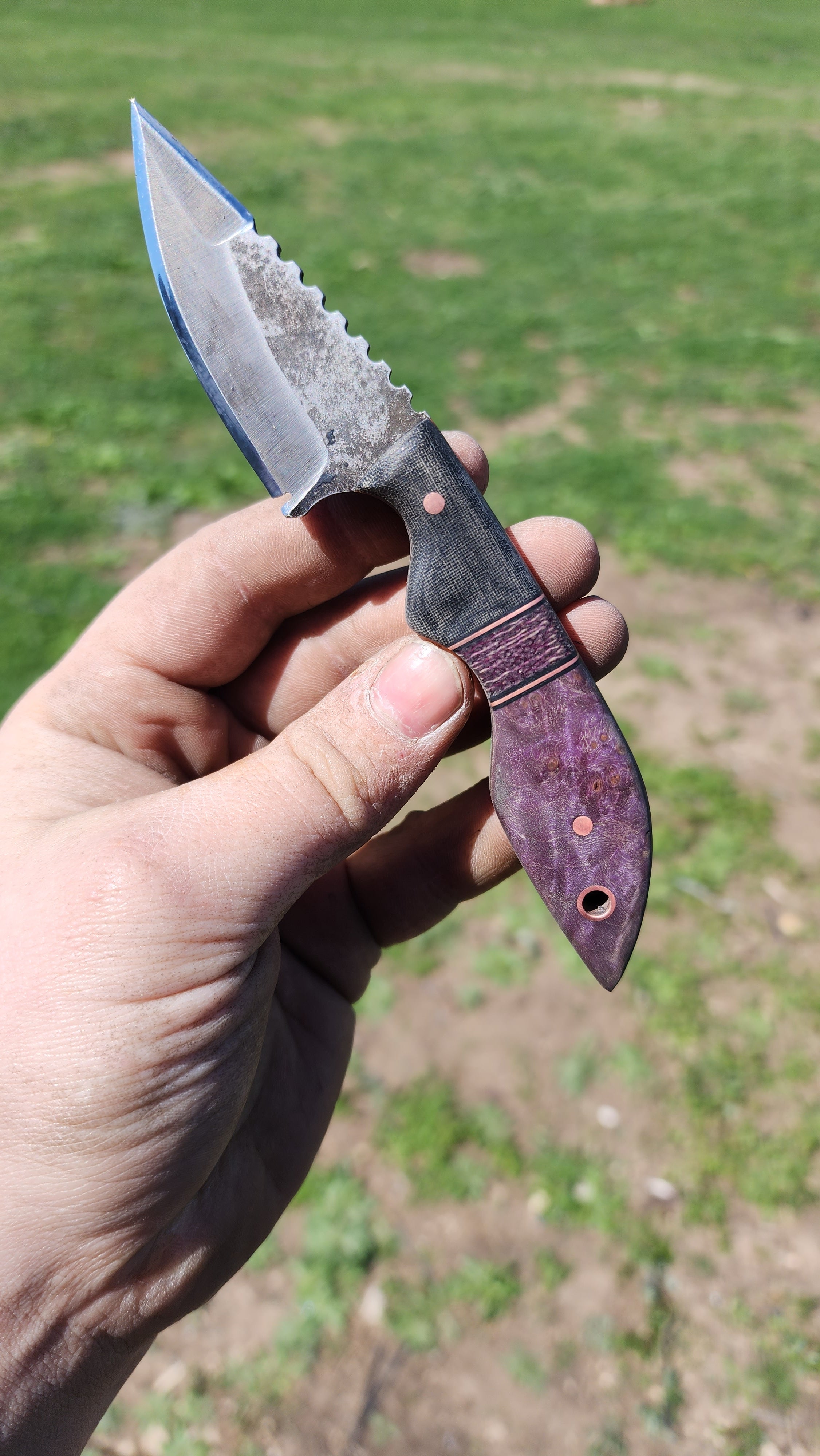 Purple Maple Tonto