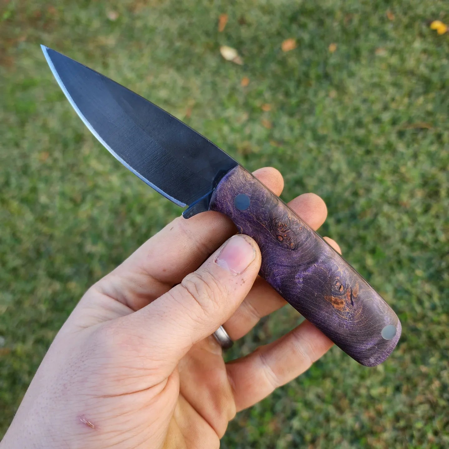 Purple Maple Burl Gent