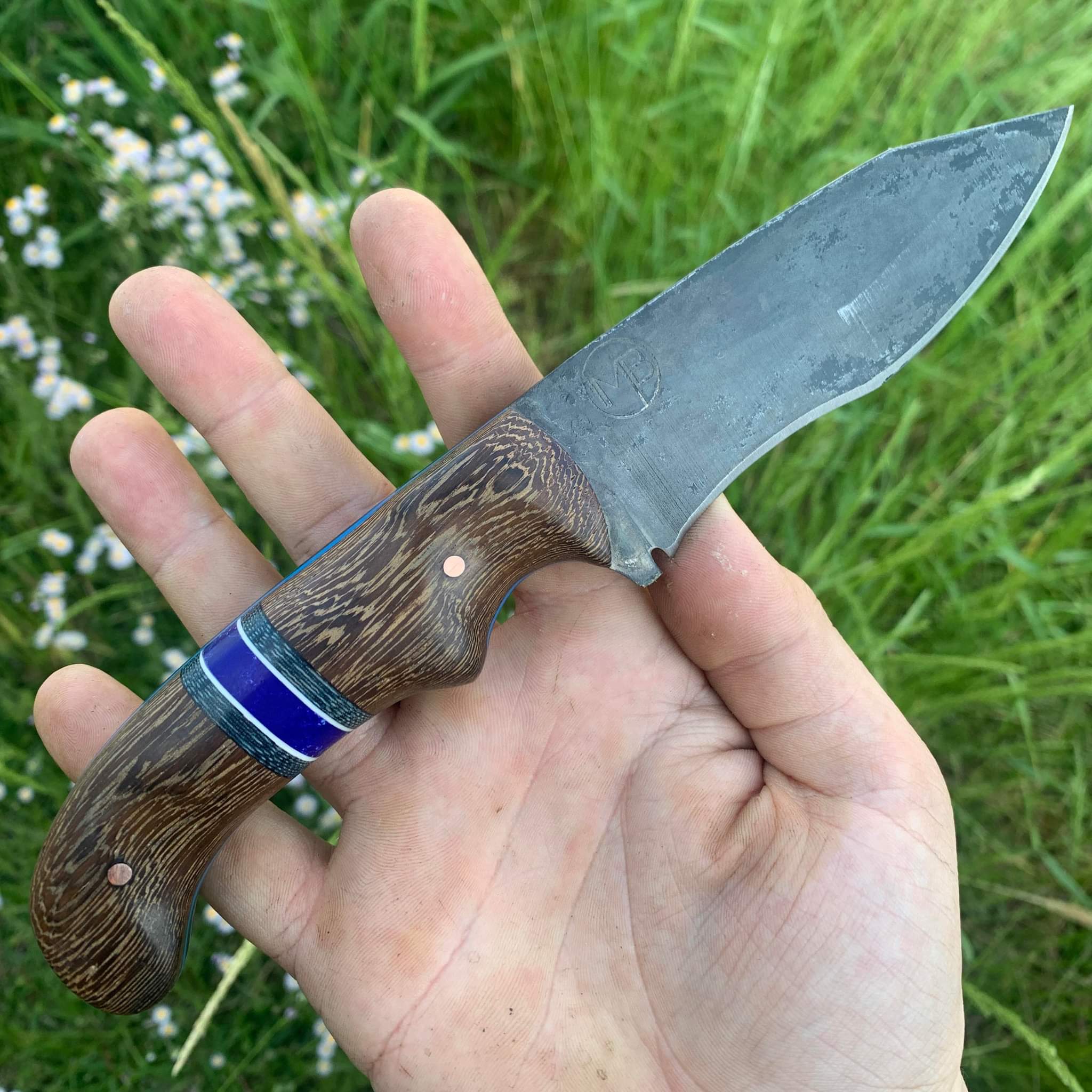 Indonesian Pheasantwood Switchback